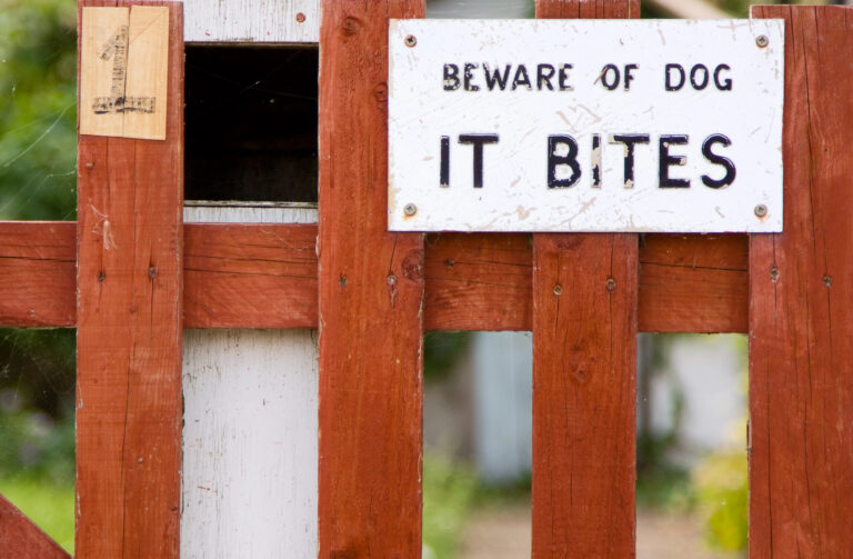 A wooden fence with a white sign that reads, BEWARE OF DOG IT BITES attached to one of the boards.