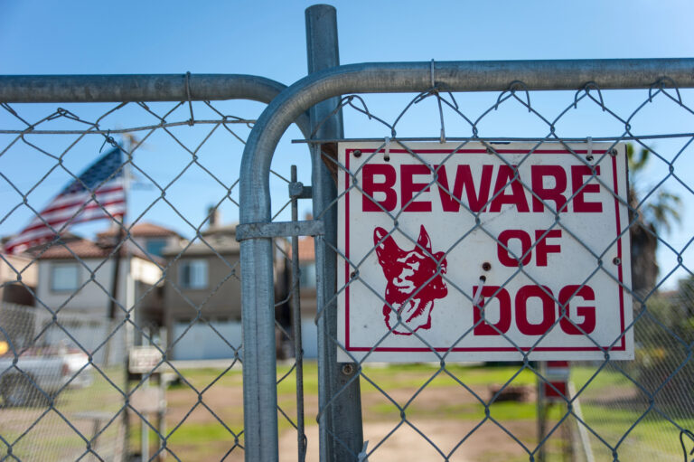 A metal fence with a Beware of Dog sign, featuring a dog illustration, stands in front of a residential property with an American flag and palm trees visible in the background.