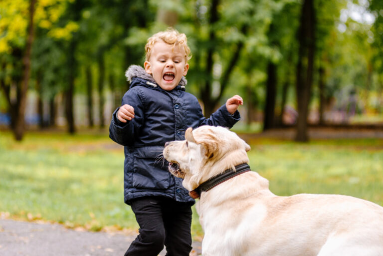 A young child in a dark jacket interacts energetically with a large light-colored dog in a park on a cloudy day.